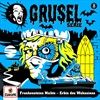 008Frankensteins-Nichte-Erbin-des-Wahnsinns-5-Vinyl