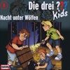 008Nacht-unter-Woelfen-9404-CD