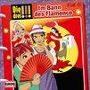 041Im-Bann-des-Flamenco-13514-CD