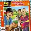 055Wildpferd-in-Gefahr-3063-CD