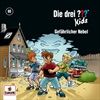 080Gefaehrlicher-Nebel-56-CD