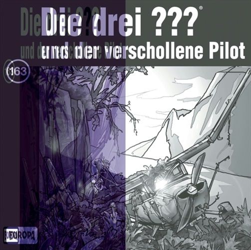 Image of 163/und der verschollene Pilot