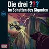 165Im-Schatten-des-Giganten-12143-CD