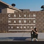 18-Months-11051-Vinyl