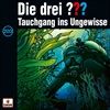 203Tauchgang-ins-Ungewisse-42-CD