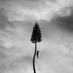 A-BLACK-MILE-TO-THE-SURFACE-2205-CD