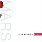 A-Beautiful-Lie-Vinyl-176-Vinyl