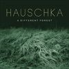 A-Different-Forest-4565-CD