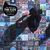 A-Foot-In-The-DoorThe-Best-Of-Pink-Floyd-4154-Vinyl