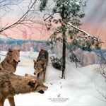 A-Gentle-Reminder-1251-CD