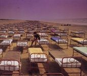 A-MOMENTARY-LAPSE-OF-REASON-7908-CD