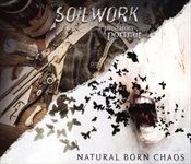 A-PREDATORS-PORTRAITNATURAL-BORN-CHAOS-14549-CD