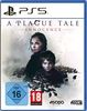 A-Plague-Tale-Innocence-PS5-D