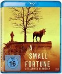 A-Small-Fortune-Ein-kleines-Vermoegen-BR-Blu-ray-D