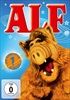 ALF-Die-komplette-erste-Staffel-DVD-D