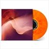 ALL-IS-BEAUTIFULBECAUSE-WE-ARE-DOOMED-21-Vinyl