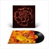 ALL-SOULS-DELUXE-VINYL-43-Vinyl