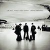 ALL-THAT-YOU-CANT-20TH-ANNI-LIFETIME-2LP-27-Vinyl