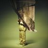 ANAGENESE-61-CD
