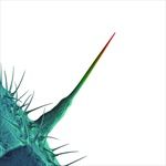 AND-ILL-SCRATCH-YOURS-1CD-6380-CD