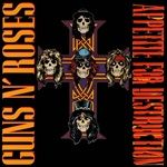APPETITE-FOR-DESTRUCTION-4970-Vinyl