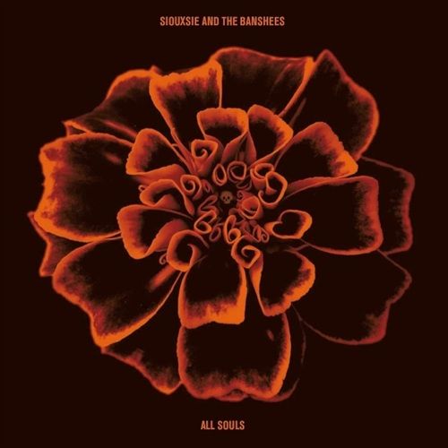 commandez maintenant!