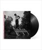 Am-Anfang-1-Vinyl