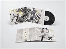 An-Und-Fuer-Sich-17-Vinyl