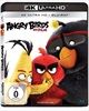 Angry-Birds-Der-Film-4K-4133-Blu-ray-D