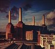 Animals-18-CD