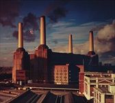 Animals-18-CD