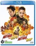 AntMan-et-la-Guepe-29-