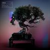 Any-Random-Kindness-349-Vinyl