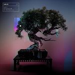 Any-Random-Kindness-349-Vinyl