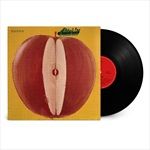 Asterix2024-Remaster-19-Vinyl