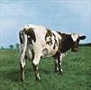 Atom-Heart-Mother-13-Vinyl
