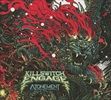 Atonement-6001-CD