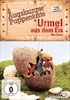 Augsburger-Puppenkiste-Urmel-aus-dem-Eis-7554-DVD-D