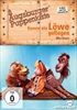 Augsburger-PuppenkisteKommt-ein-Loewe-geflogen-7605-DVD-D