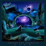 Awaken-the-Guardian-LIVE-180g-2LP-743-Vinyl