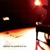 BETWEEN-THE-BURIED-AND-ME-VINYL-7333-Vinyl