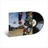 BINGO-LTD-VINYL-41-Vinyl
