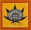 BLACK-POWER-FLOWER-6660-CD