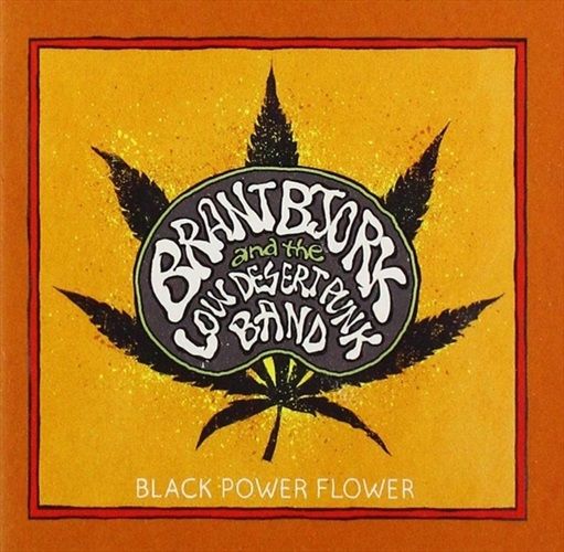 Image of BLACK POWER FLOWER