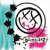 BLINK-182VINYL180GRDC-965-Vinyl