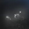 BLISS-SIGNAL-MUMDANCE-WIFE-VINYL-7300-Vinyl