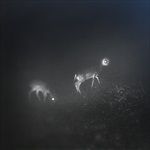 BLISS-SIGNAL-MUMDANCE-WIFE-VINYL-7300-Vinyl
