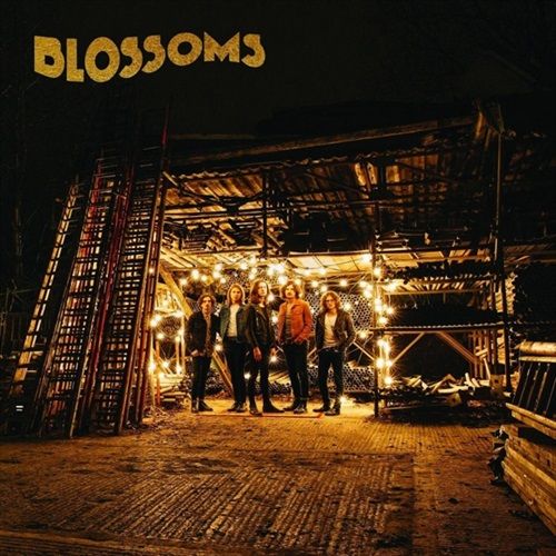 BLOSSOMS