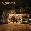 BLOSSOMS-VINYL-579-Vinyl