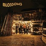 BLOSSOMS-VINYL-579-Vinyl